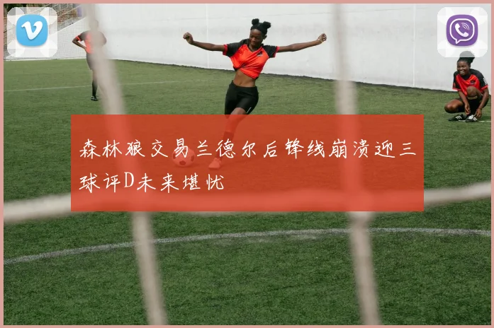 森林狼交易兰德尔后锋线崩溃迎三球评D未来堪忧